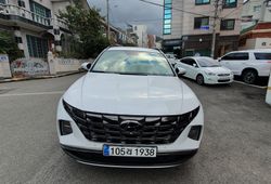 ı