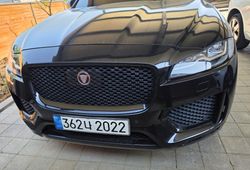 �ı����