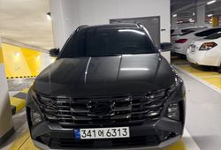 �ı����