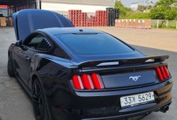 �ı����