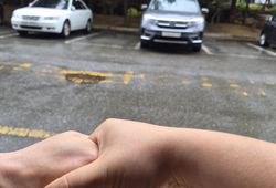 �ı����