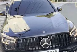 �ı����