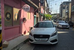�ı����