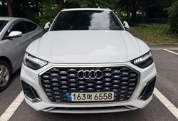 �ı����